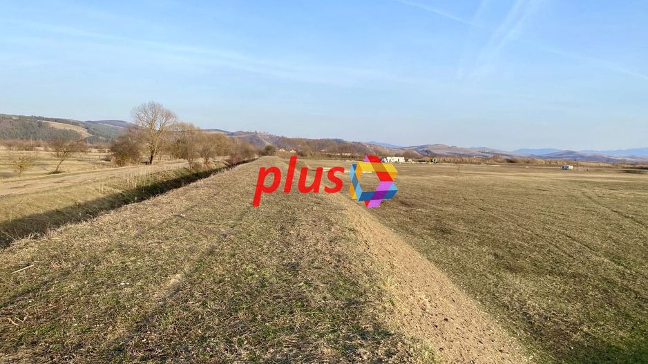 Teren 11 ha cu heleșteu 3 ha - Poză 4