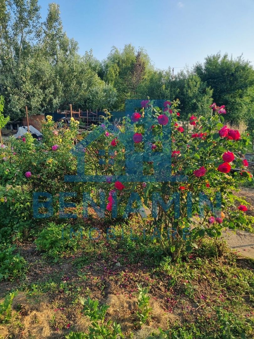 Teren 709mp utilitati asfalt Livezi, Podari, la 7,5 km de Craiova - Poză 2