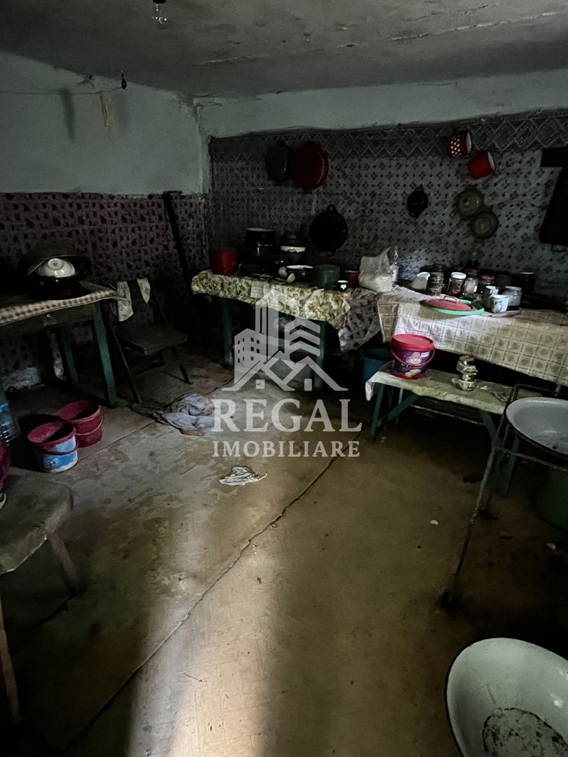 Două case cu teren de 36.291 mp, în Dealul Mic - Poză 8