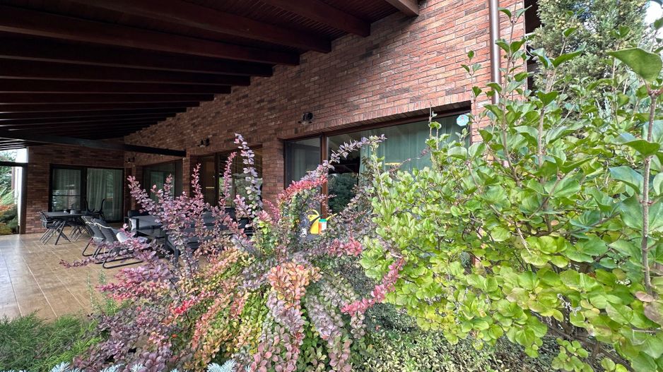 Casa individuala Dumbravita spre Pădure - Poză 26