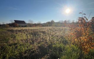 Teren intravilan de vanzare | 12.650 mp | Ghirdoveni, | COMISION 0% - Poză 11