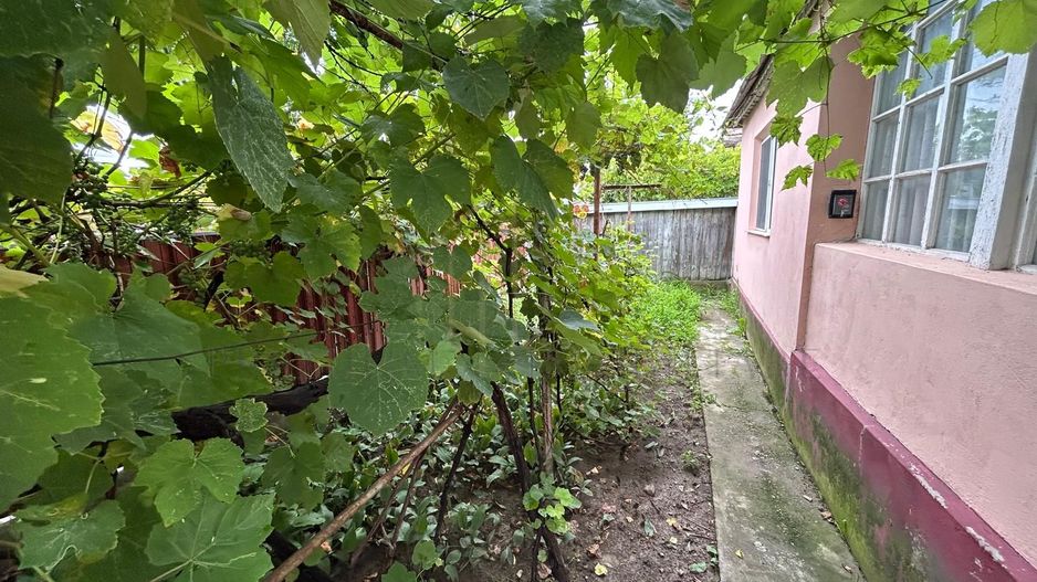 Proprietate de vânzare | 15 km de Onești, DN11 – direcția Bacău - Poză 17