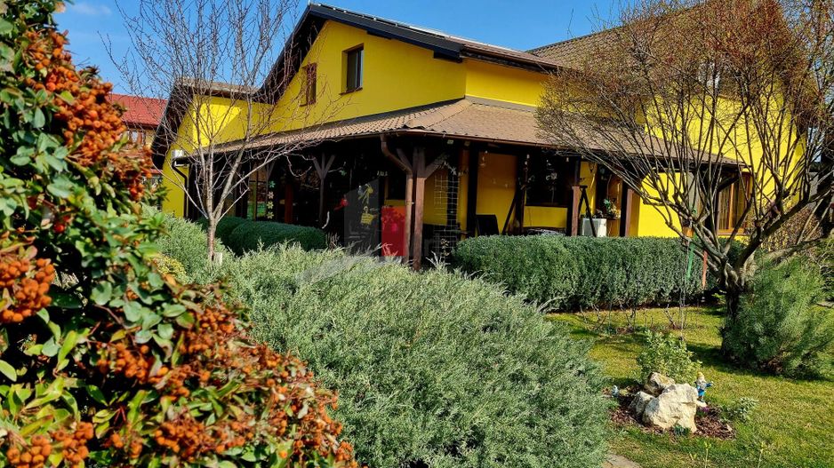 Vila cu gradina impresionanta | Prosumator | Tancabesti - Poză 4