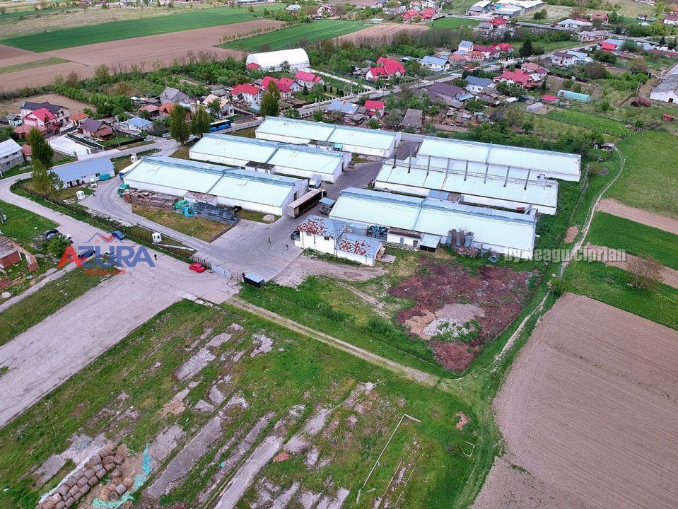 COMISION 0% - HALE Calinesti Arges - Poză 72