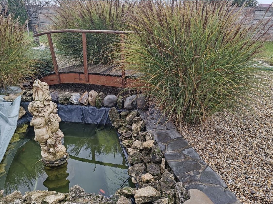 Casa in Paulesti - Poză 7