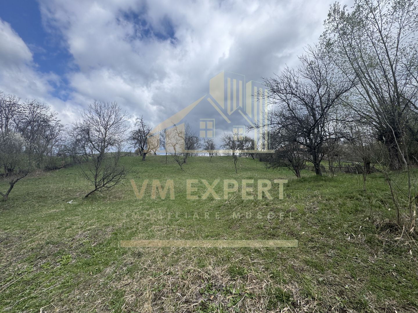 TEREN INTRAVILAN 4365 MP POENARII DE MUȘCEL  JUDEȚUL ARGES - Poză 9