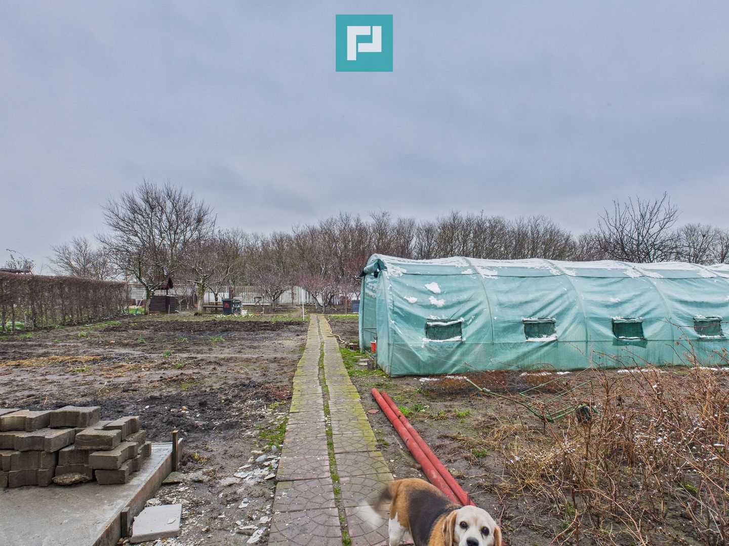 Casă cu 2 corpuri  și 5 camere în Livada - Poză 16