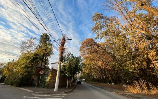 Teren de vanzare Colentina Padurea Andronache - Poză 3