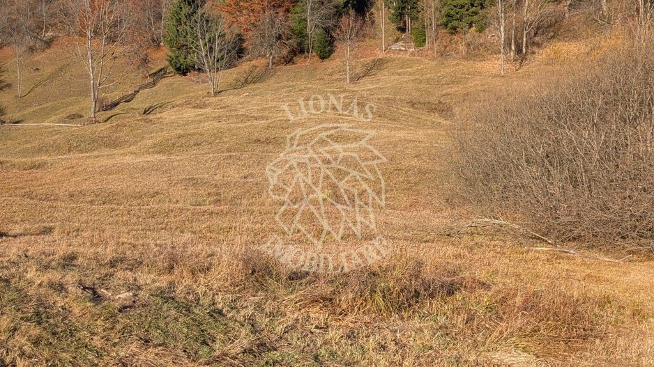 COMISION 0% Teren Parcelabil 2950 Panorama la Lac Colibita - Poză 8
