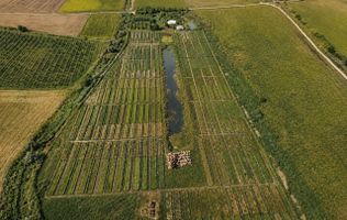 Teren agricol de vânzare – 6,8 hectare cu lac propriu și casă, Nisporeni