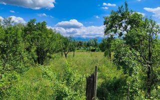 Teren intravilan 1713 mp | Colun | 27 m deschidere, utilități - Poză 1