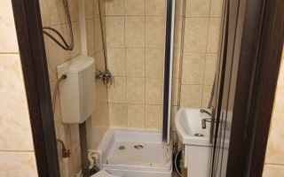 Propietar - camera camin Pacurari - Poză 4