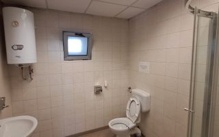 Hală industrială de vânzare / închiriere – 1.120 mp | Pielesti - Poză 8