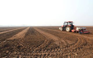 Ferma de Cultura Mare 1100 HA - Poză 2