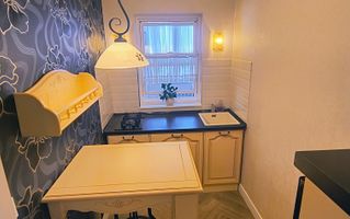 Garsoniera Ion Mihalache- Titulescu- Banu Manta - Poză 9