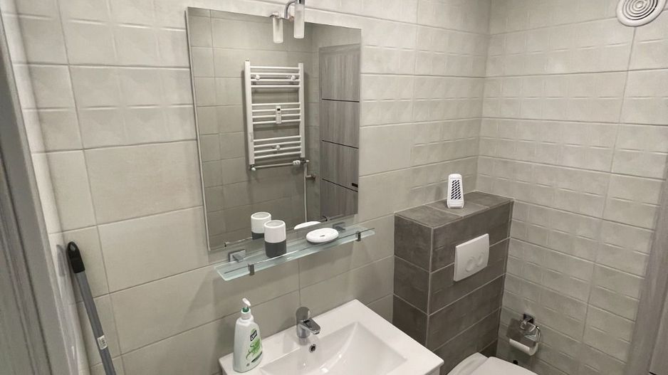 Inchiriere 2 Camere Unirii - Piata Alba Iulia - Poză 7