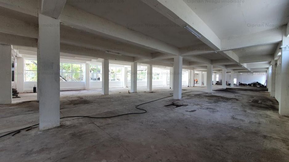 Hala Depozitare de Inchiriat Pitesti - Poză 3
