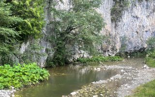 Teren pentru investiție turistică în Dâmbovicioara – Baranga | 4.500 mp | Front ~102 ml - Poză 22
