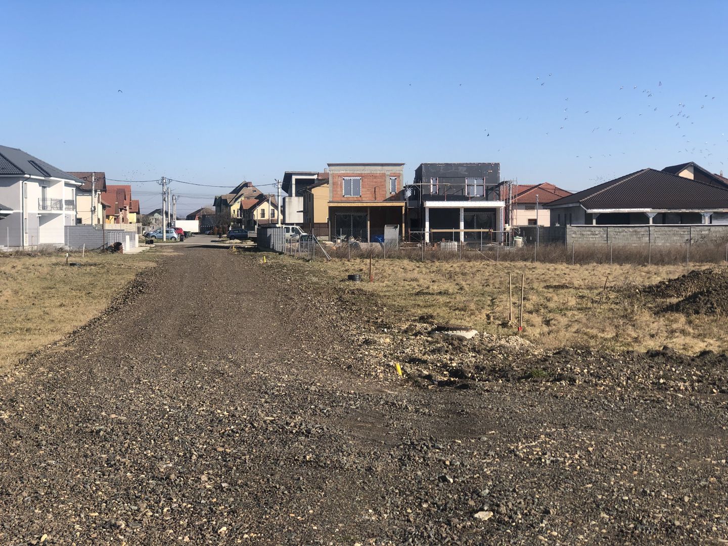 Teren Sinandrei - 2 FS- zona str Lalelelor - Poză 4