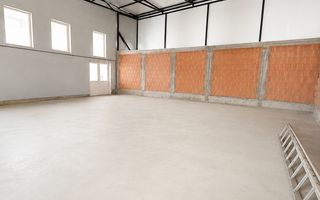 Hală industrială | 500 mp | Curte 600 mp | Zona Terezian - Poză 6