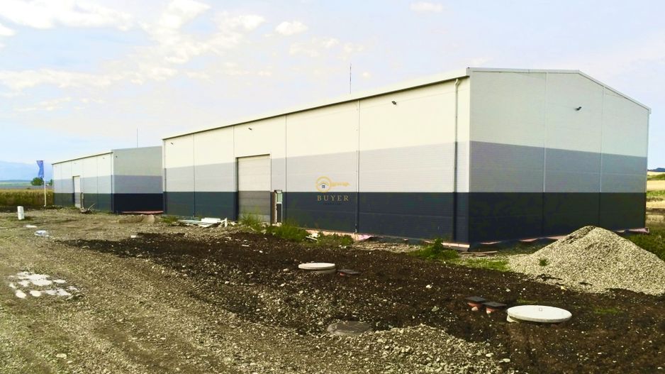 Hala industriala, parc nou industrial, Vest- 528 utili- Teren 1336mp - Poză 9