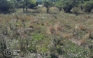 Terenuri 1300 mp, Lipova - Poză 2