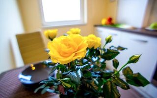 Apartament de inchiriat 1 camera Parcare, Calea Turzii - Poză 6