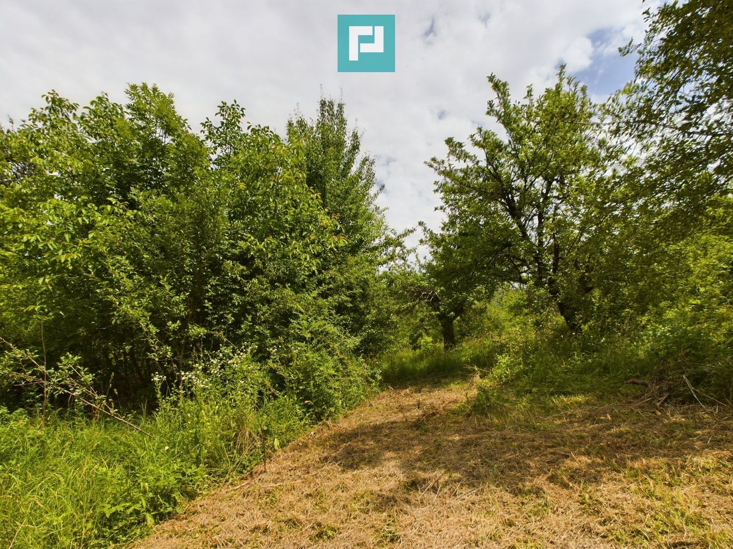 Loc de casă cu construcție în Dezna! - Poză 9