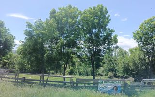 Teren Intravilan Ilisesti/Suceava - Poză 7