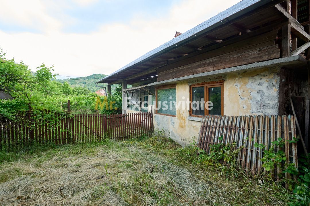 Casa cu teren generos - 4696 mp Apa Sarata - Campulung !! - Poză 18