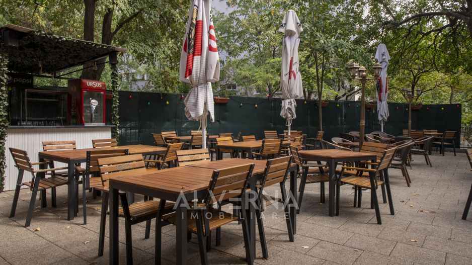 Afacere / Pizzerie de vanzare complet echipata + terasa | Camil Ressu - Poză 3