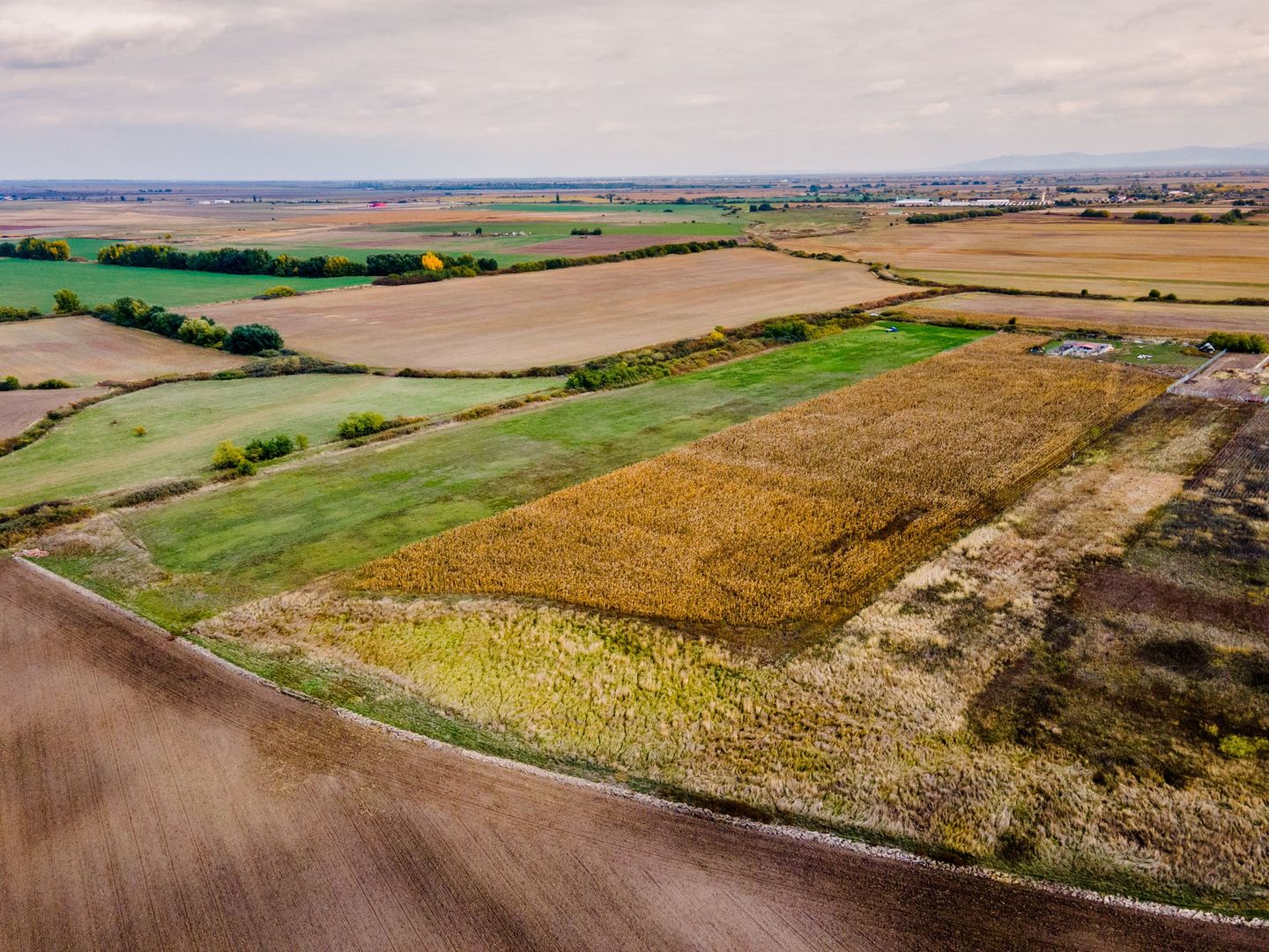 Teren arabil pe Strada Câmpurilor - Poză 9