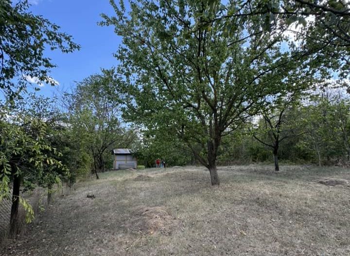 DE VANZARE Teren intravilan Comuna Daia,Jud Giurgiu - Poză 4