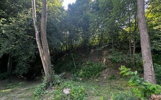 TEREN INTRAVILAN,  SUPRAFAȚA 3446 MP, BUGHEA DE SUS, ARGES - Poză 21