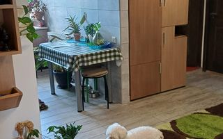 Apartament 2 camere, complet utilat la 10 minute de Targu Mures - Poză 5