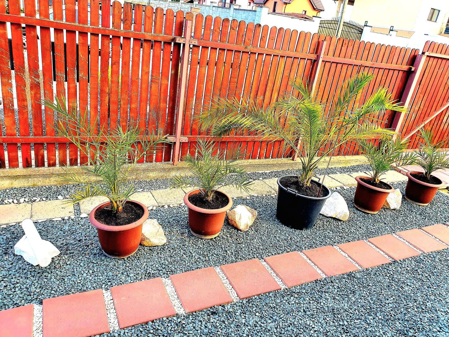 Casa individuala - Dumbravita - Poză 15