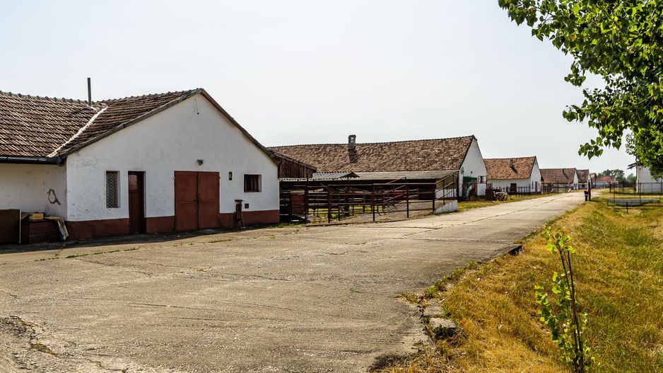 Fermă Mândruloc 2,5 ha - Poză 3