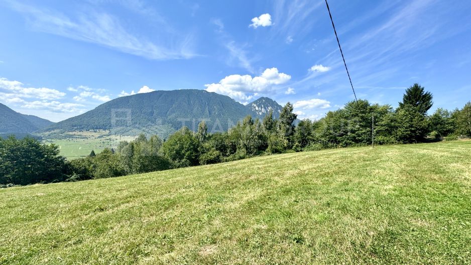Platou montan, 6631 mp intravilan, electricitate,  langa pădure - Poză 9