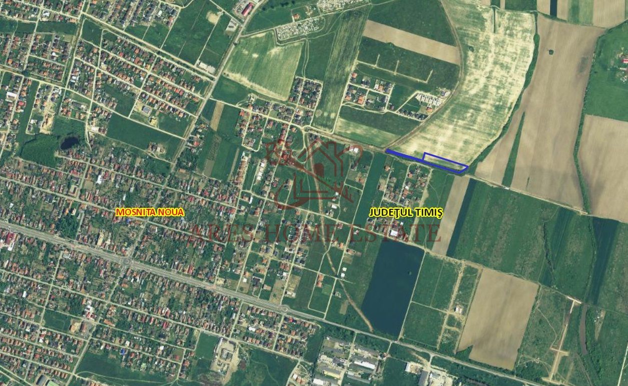 Teren parcelabil cu toate utilitatile 7.257 mp Moșnița Nouă – 20 €/mp - Poză 2