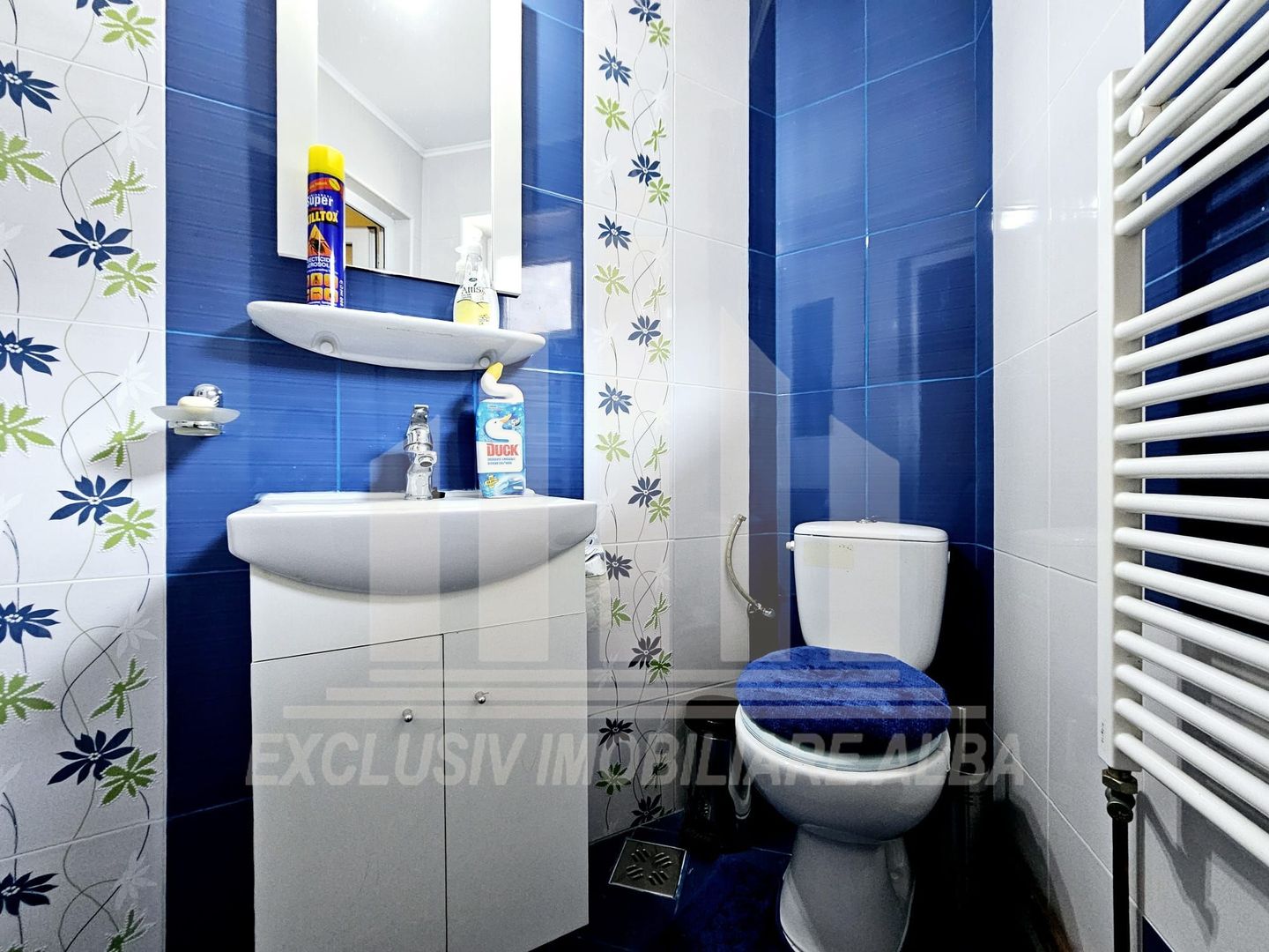 Casa de vacanta cu potential de Pensiune Turistica, Ramet - Poză 13