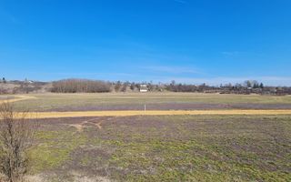 Teren Intravilan 49284 mp / PUZ Aprobat - Poză 4