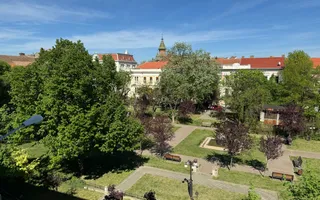 Apartament in clădire istorică P-ta Plevnei cu vedere parc - Poză 18