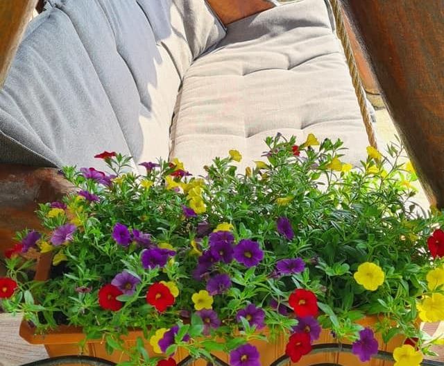 Casă de Vacanță Liniștită în Cluj-Napoca - Poză 6