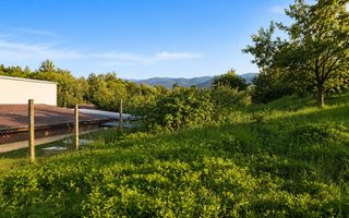 TEREN INTRAVILAN DE VÂNZARE | 1.000 MP | ZONA APFELHAUS - Poză 3