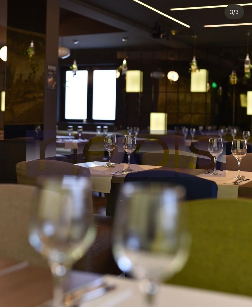 OPORTUNITATE VANZARE - INCHIRIERE VILA RESTAURANT | GRADINA ICOANEI | - Poză 28