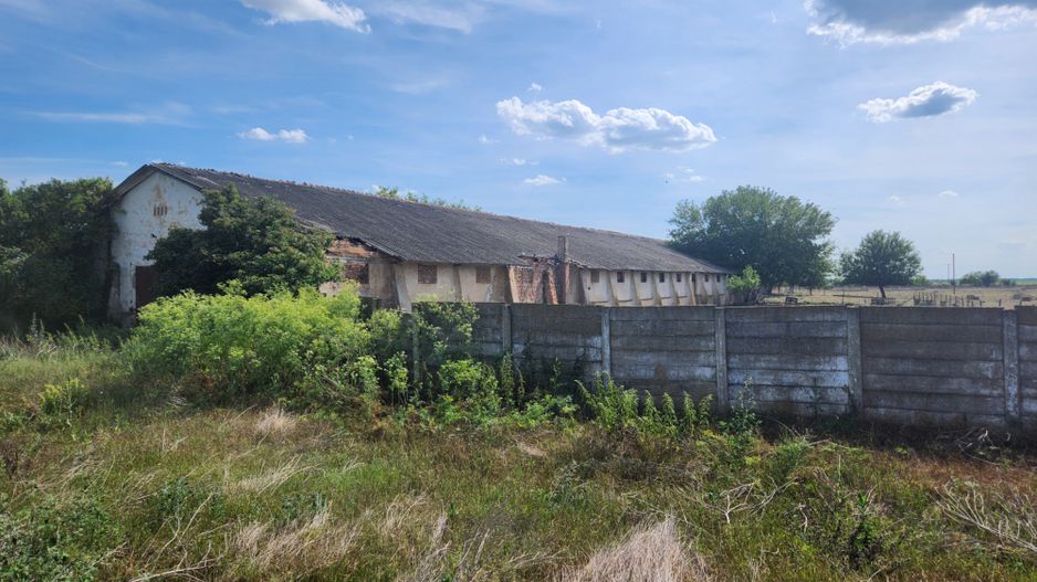 Teren intravilan -Jimbolia zona Kikindei - Poză 25