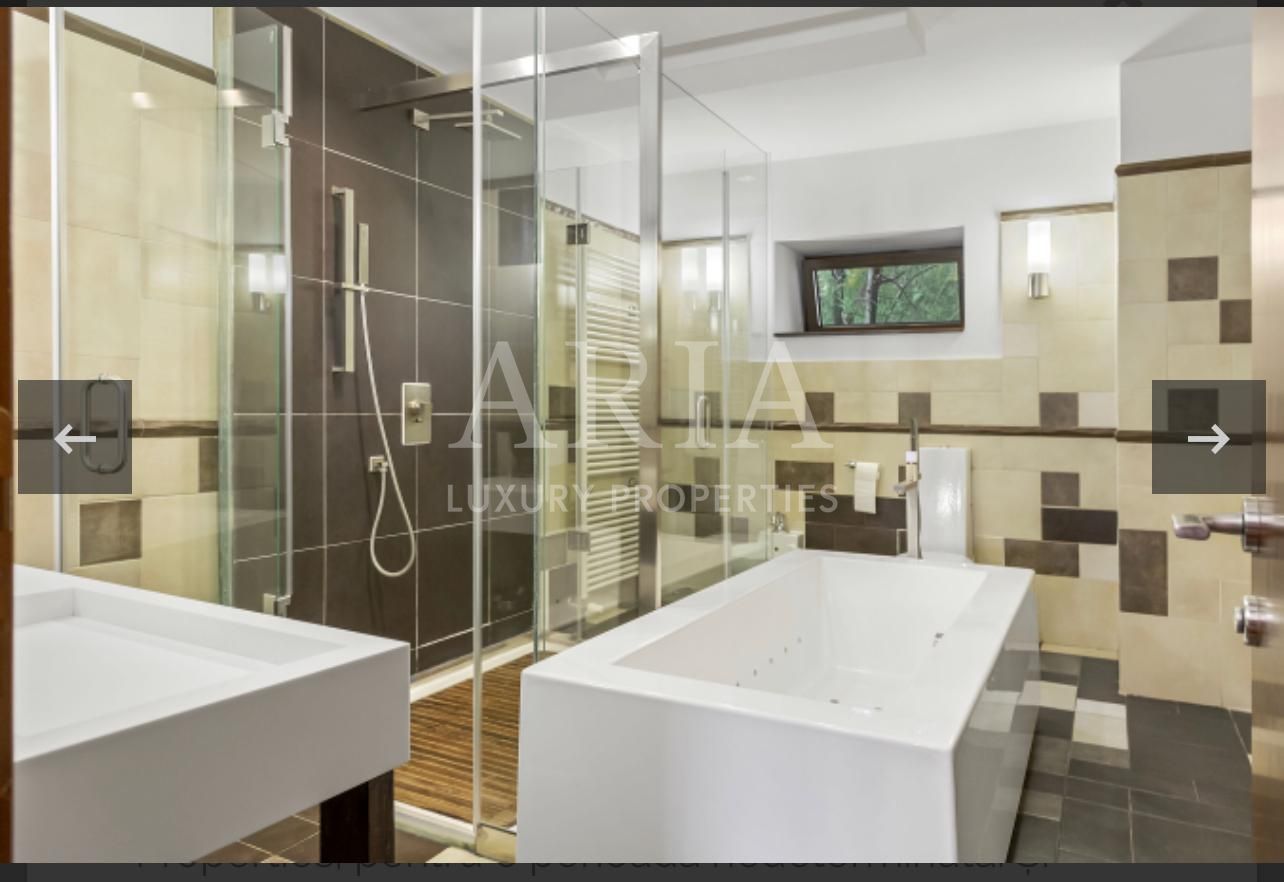 VILA SNAGOV WATERFRONT - PISCINA - PONTON DESCHIDERE LA LAC - Poză 18