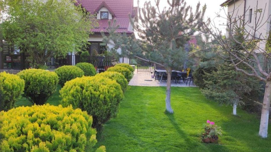 Casa 3 camere Domnesti - Poză 14