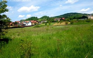 Teren intravilan 5.700 mp in Corunca,zona castelului,34 eu/mp - Poză 5