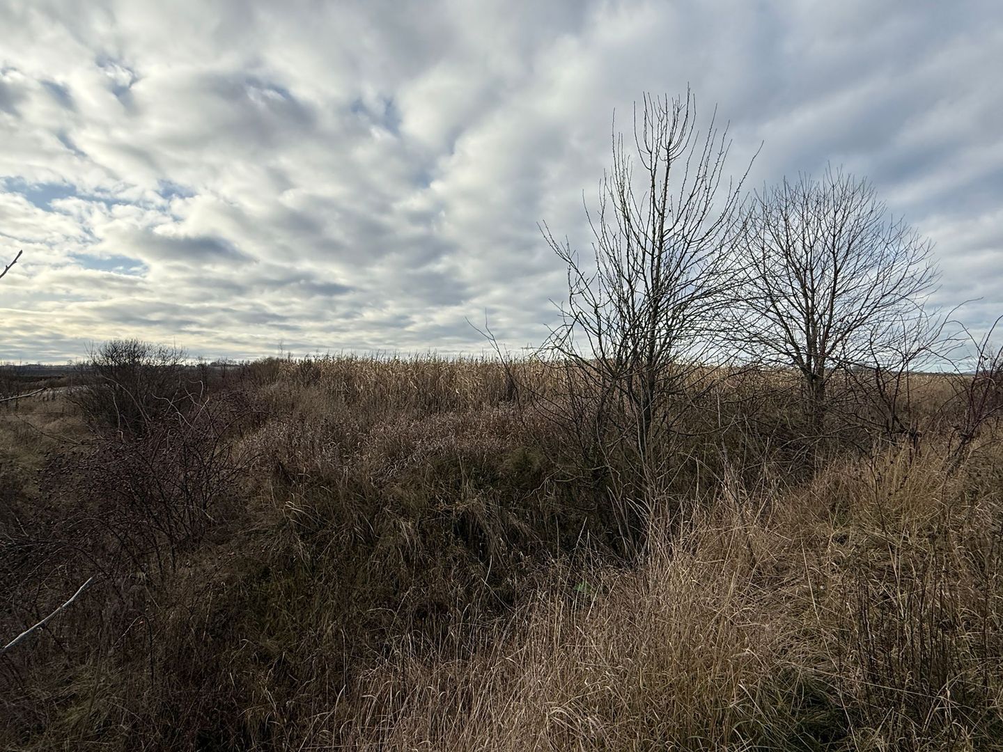 VAND TEREN 46 ARI | VOLOVAT | 47.000 EURO | - Poză 8